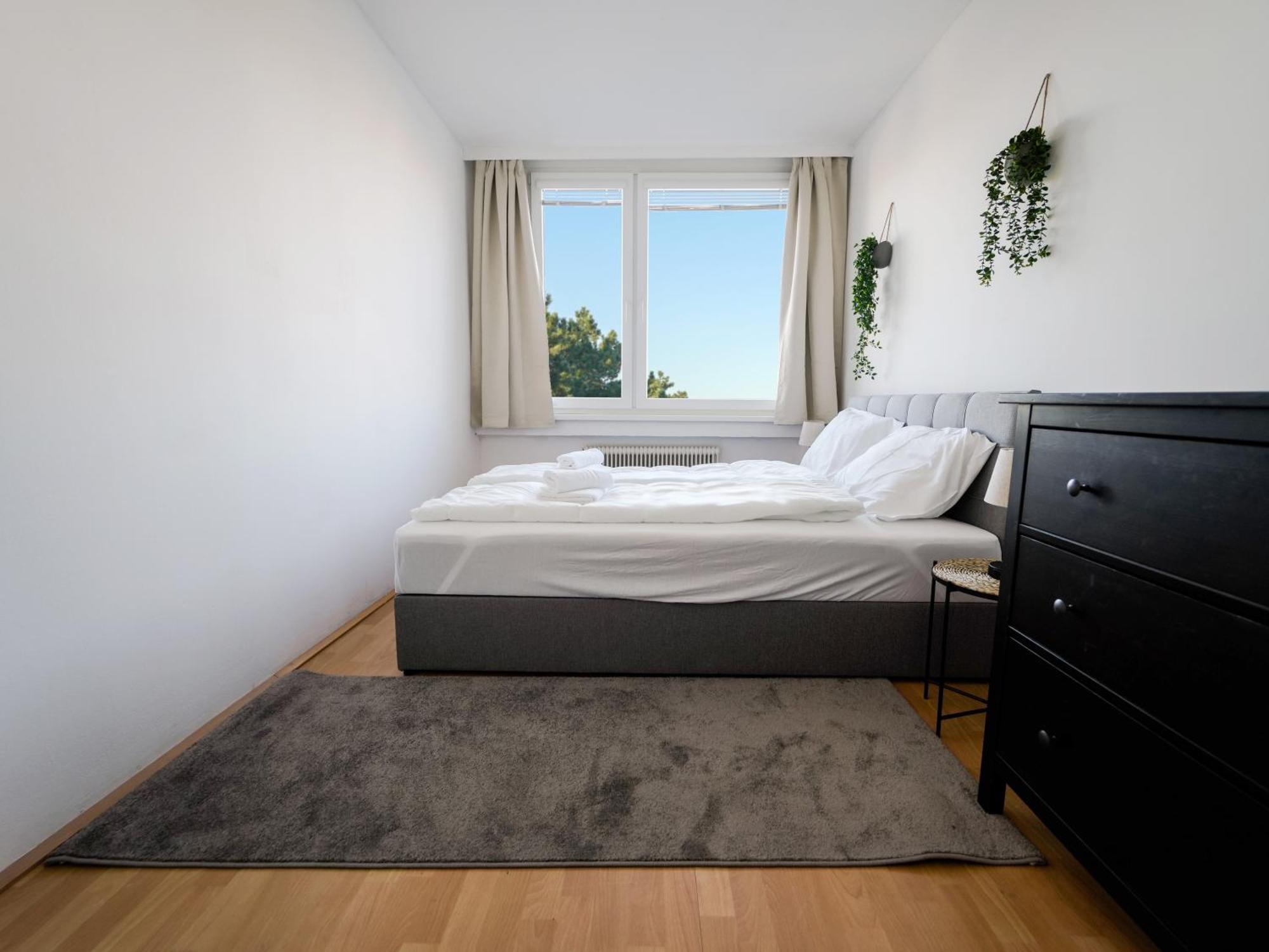 Spacious Apartments With View & Free Parking Vídeňské Nové Město Exteriér fotografie